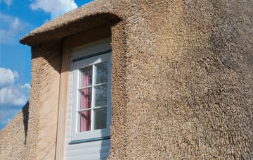 Willerby thatch roof disadvantages